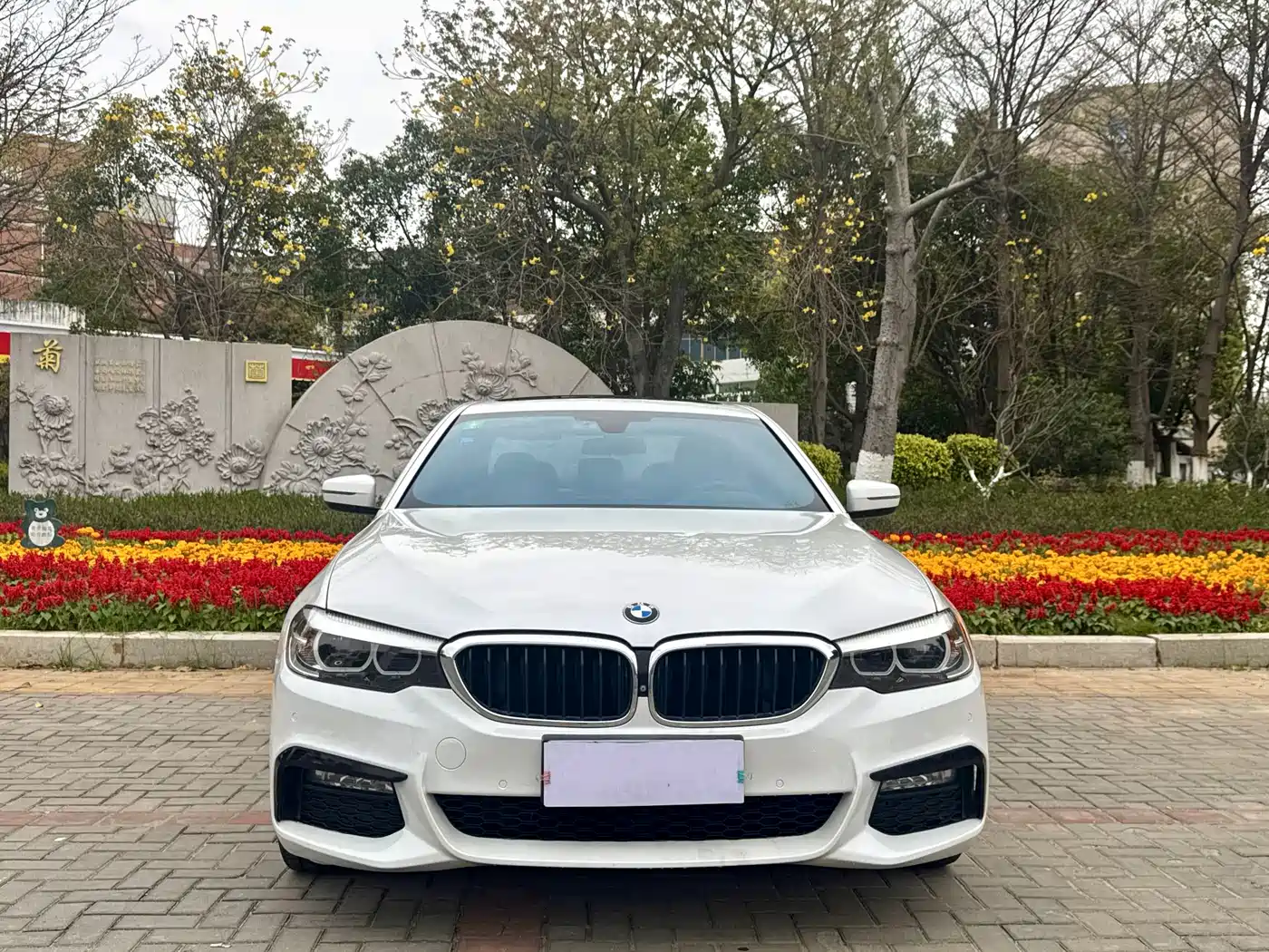 BMW 5 Series 2018 530Li Leading M Sport Package фото 2