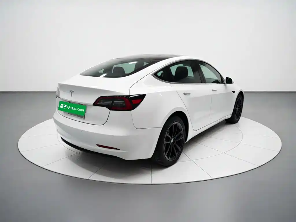 Tesla Model 3 2020 2020 Standard Range Rear-Wheel Drive Upgrade
