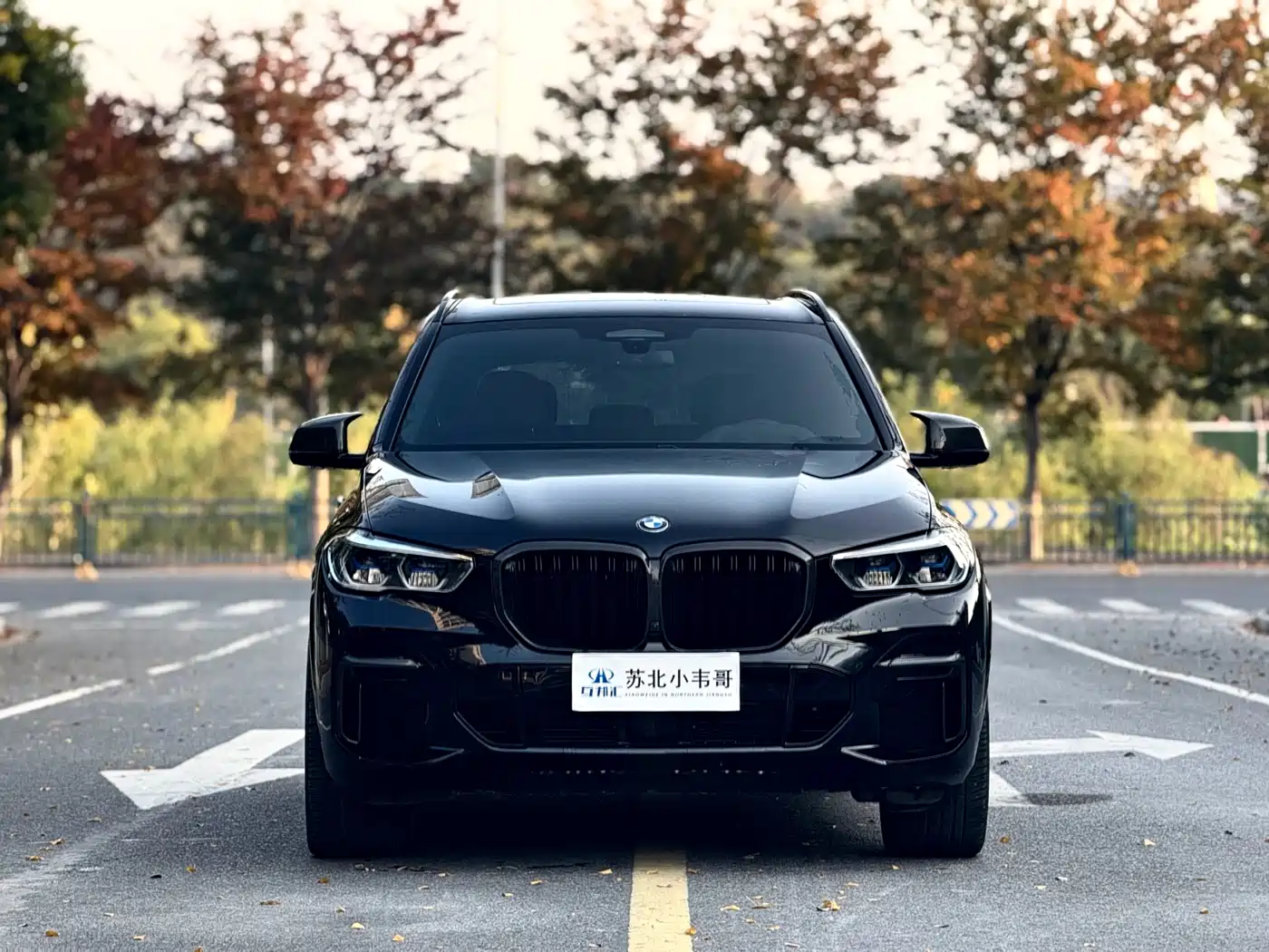 BMW X5 2022 Facelift xDrive 40Li Premium M Sport Package фото 2