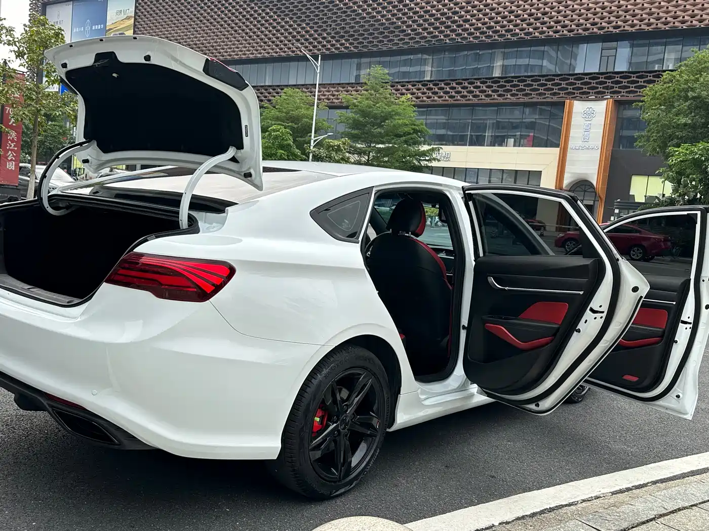 GEELY AUTOMOBILE BINRUI