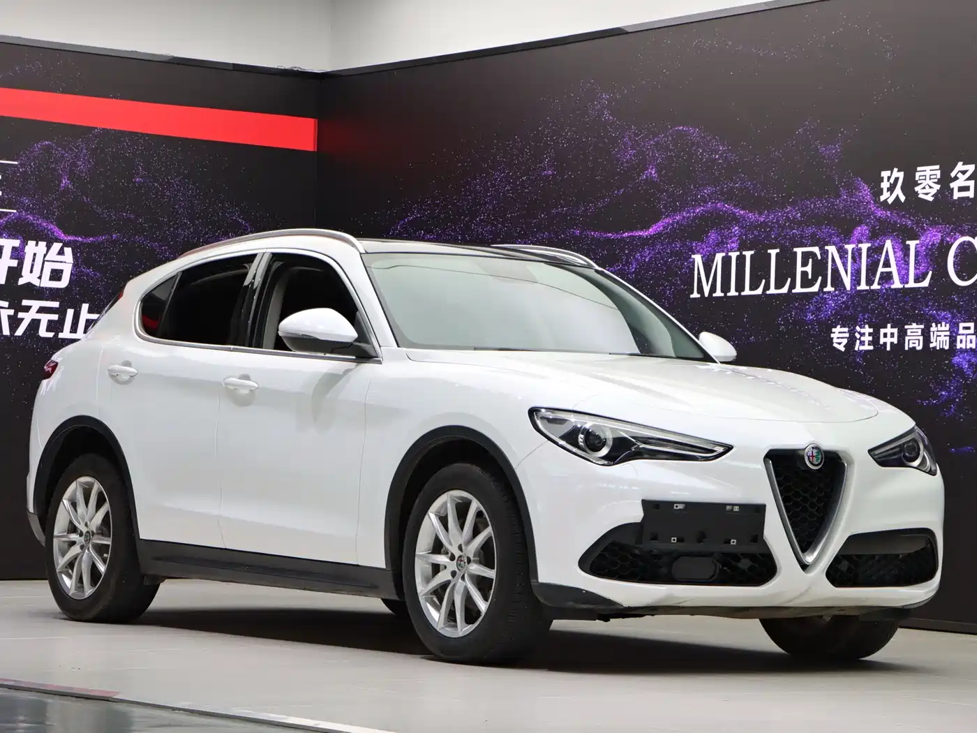 Alfa Romeo Stelvio 2019 2017 2.0T 280HP Luxury