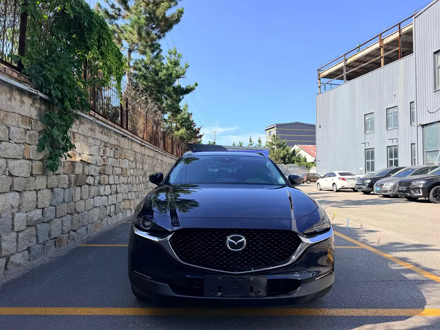 Mazda CX-30 2024 2024 2.0L Automatic Jiayue