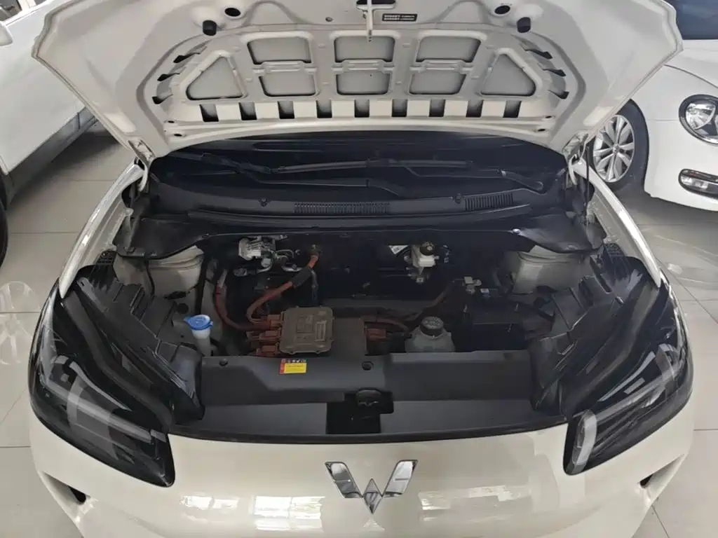 Wuling Motors Wuling Binguo PLUS 2025 2024 Model 330km 5-Seater
