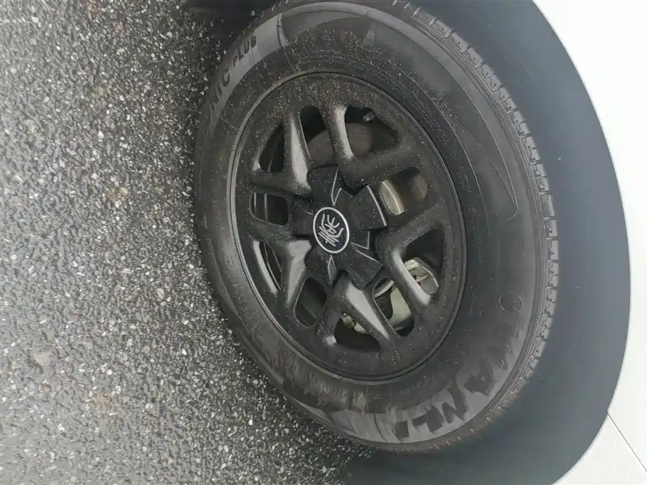 BYD Qin PLUS 2025 DM-i Smart Drive 55KM Leader фото 6