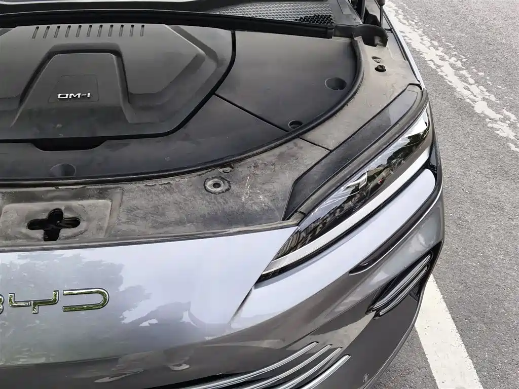 BYD Song PLUS PHEV 2024 Glory Edition DM-i 71km Luxury фото 22