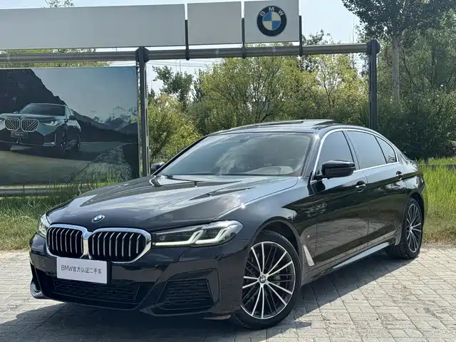 BMW 5 530Li, Лидер, M Спорт-пакет