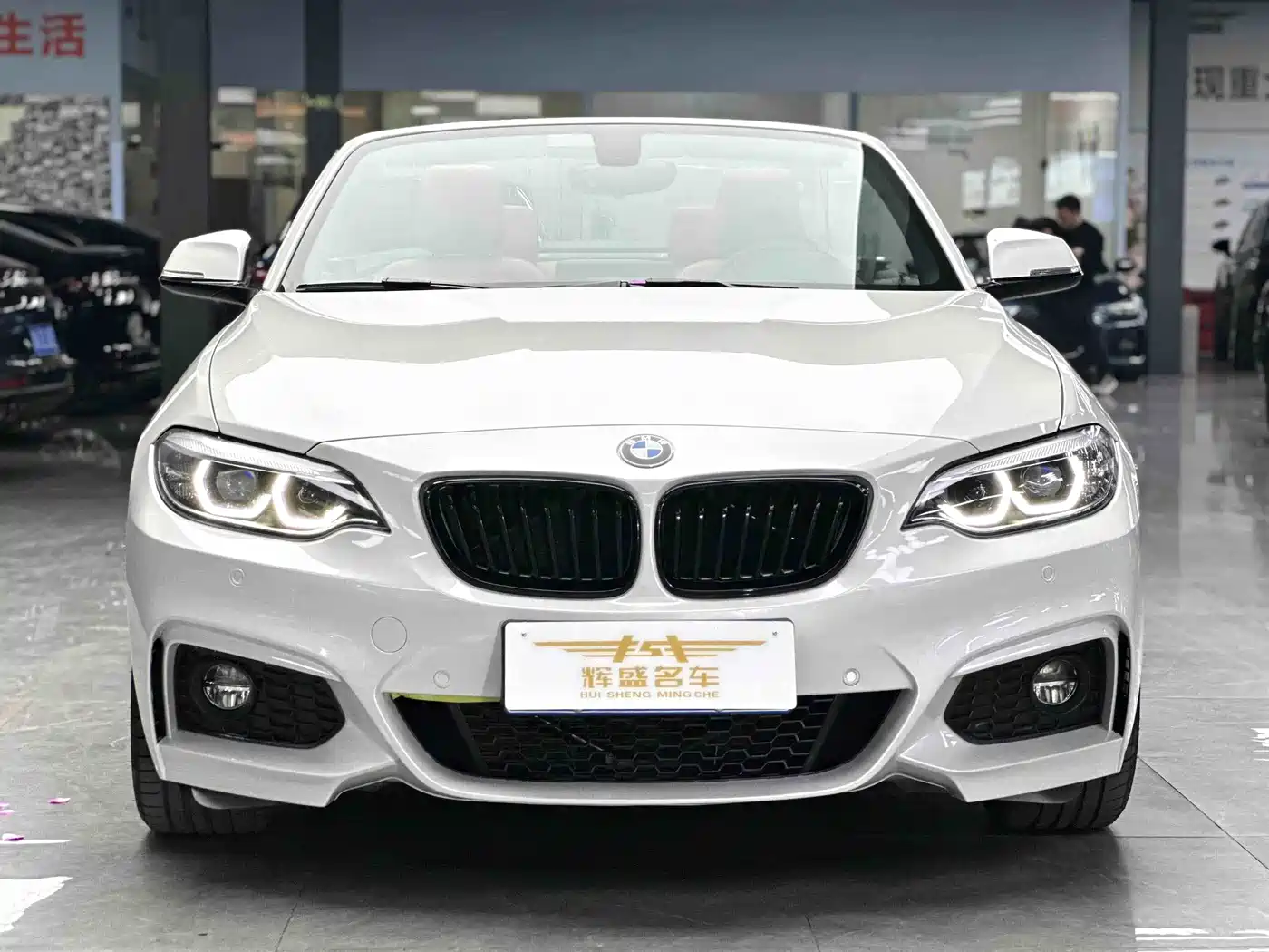 BMW 2 Series (Import) 2019 225i Convertible Coupe Exclusive M Sport Package фото 2