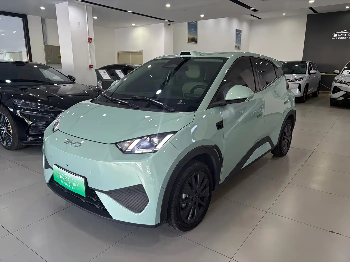 BYD Seagull  — пригон из Китая