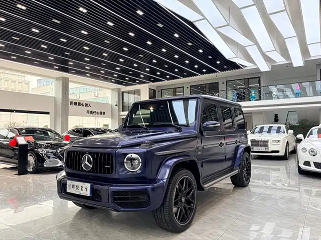 MERCEDES-BENZ G CLASS