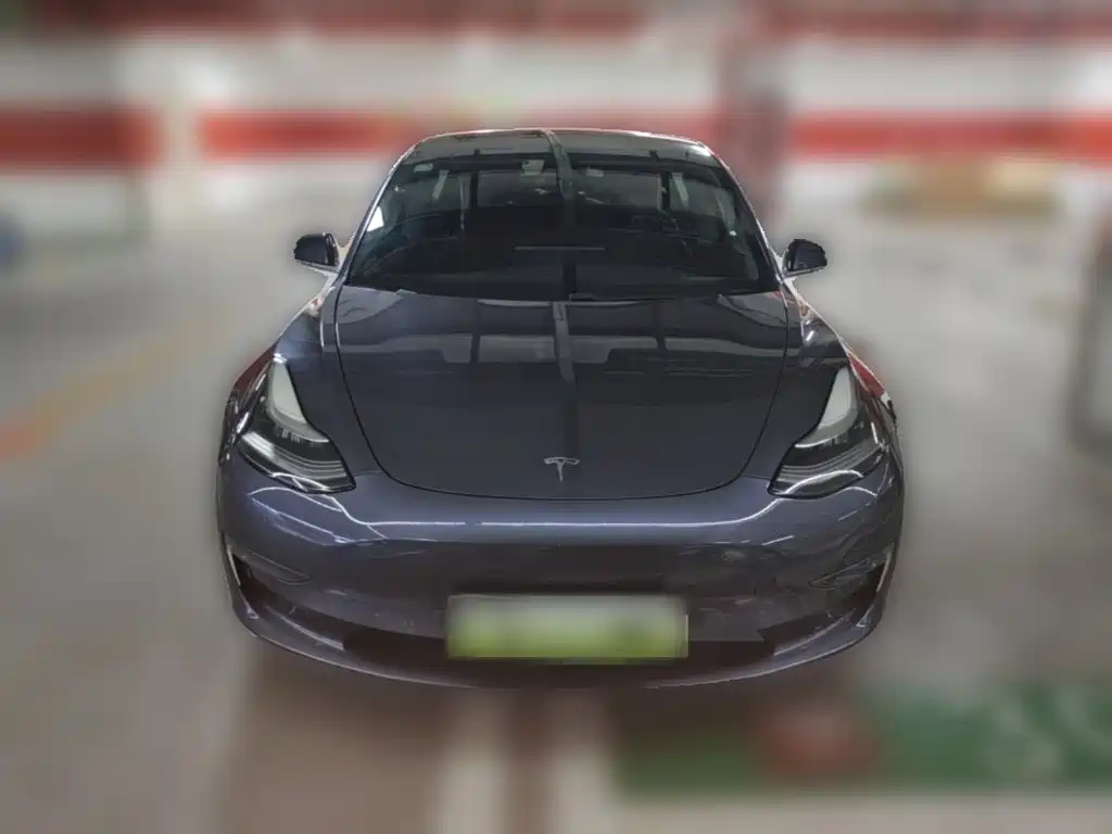 Tesla Model 3 (Import) 2019 2019 Long Range RWD Version