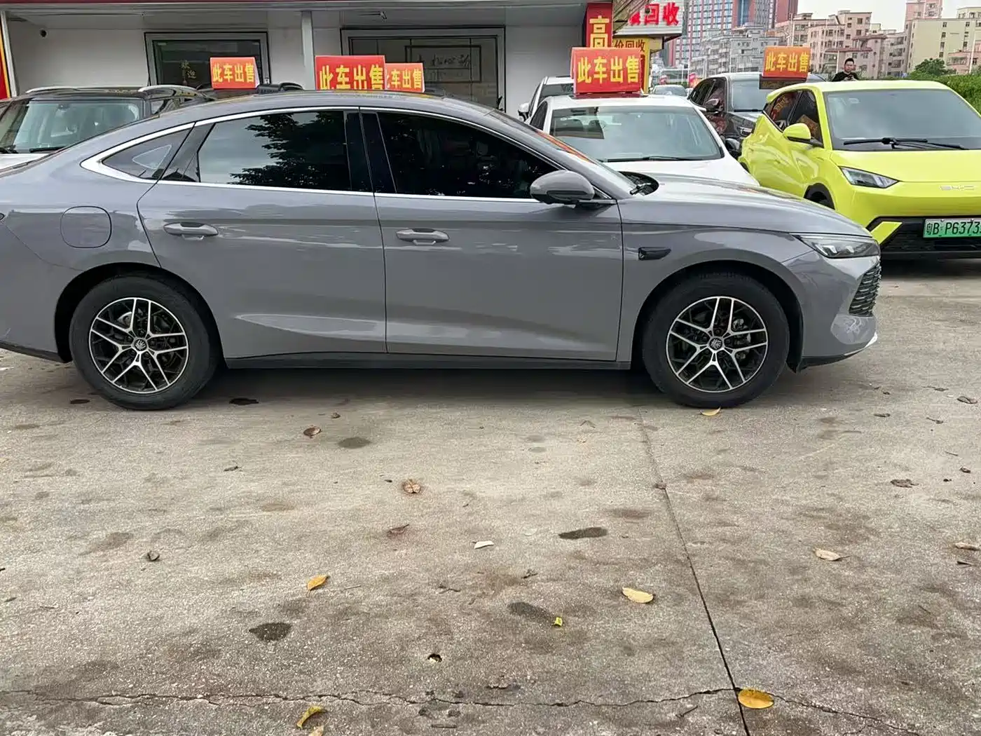 BYD Qin L 2026 2026 Model DM-i 210KM Superior Edition