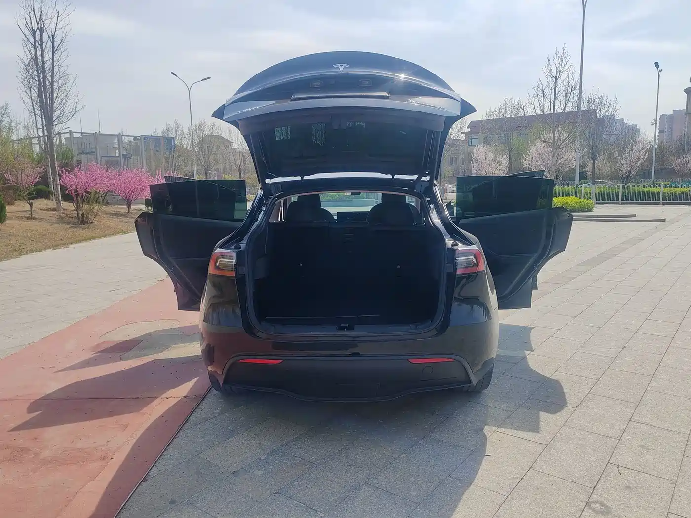 TESLA MODEL Y