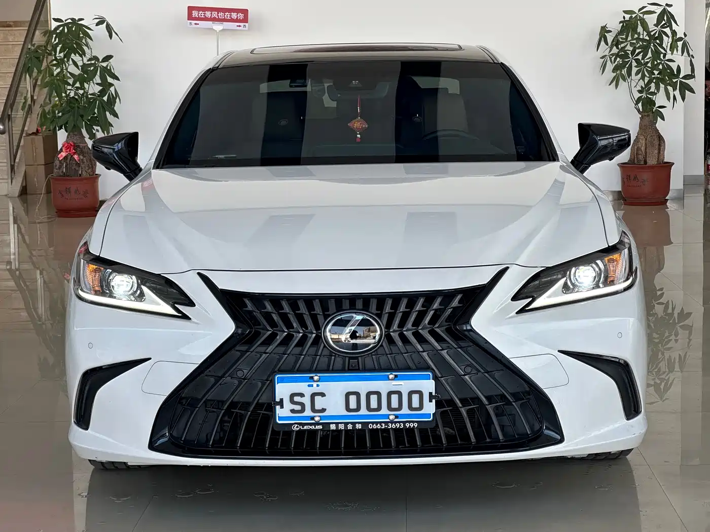 Lexus ES 2021 200 Excellence Edition фото 2