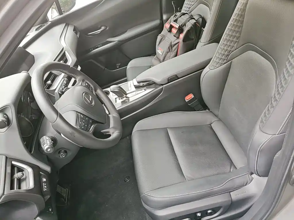 Lexus UX Electric 2021 2020 300e Pure Yue Edition