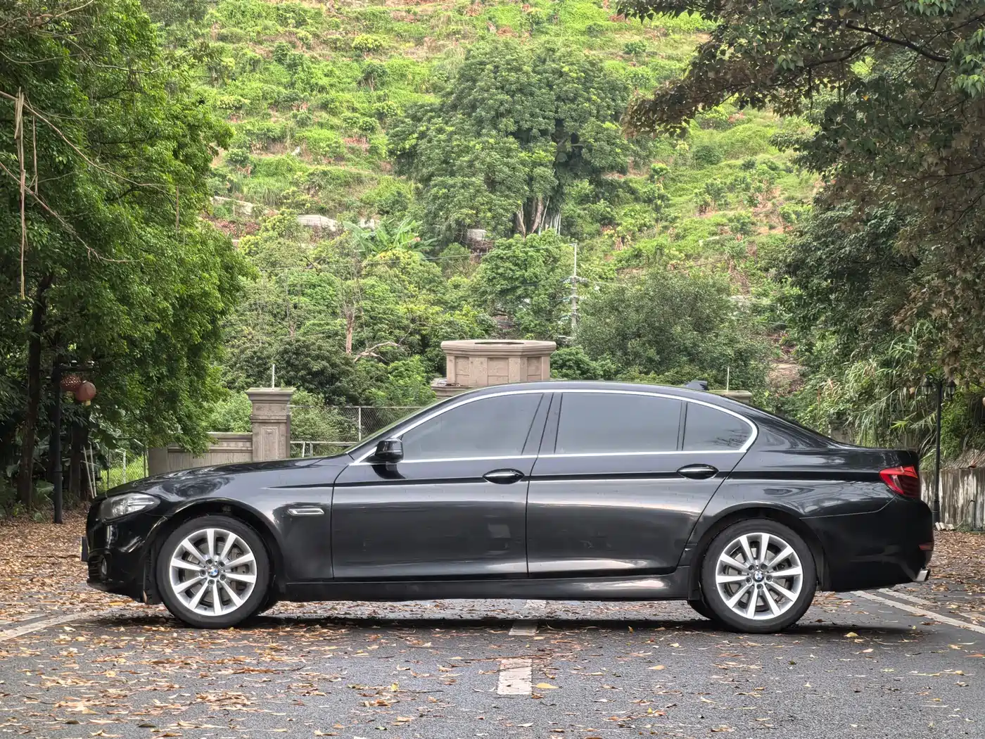 BMW 5 Series 2015 535Li Leading фото 4