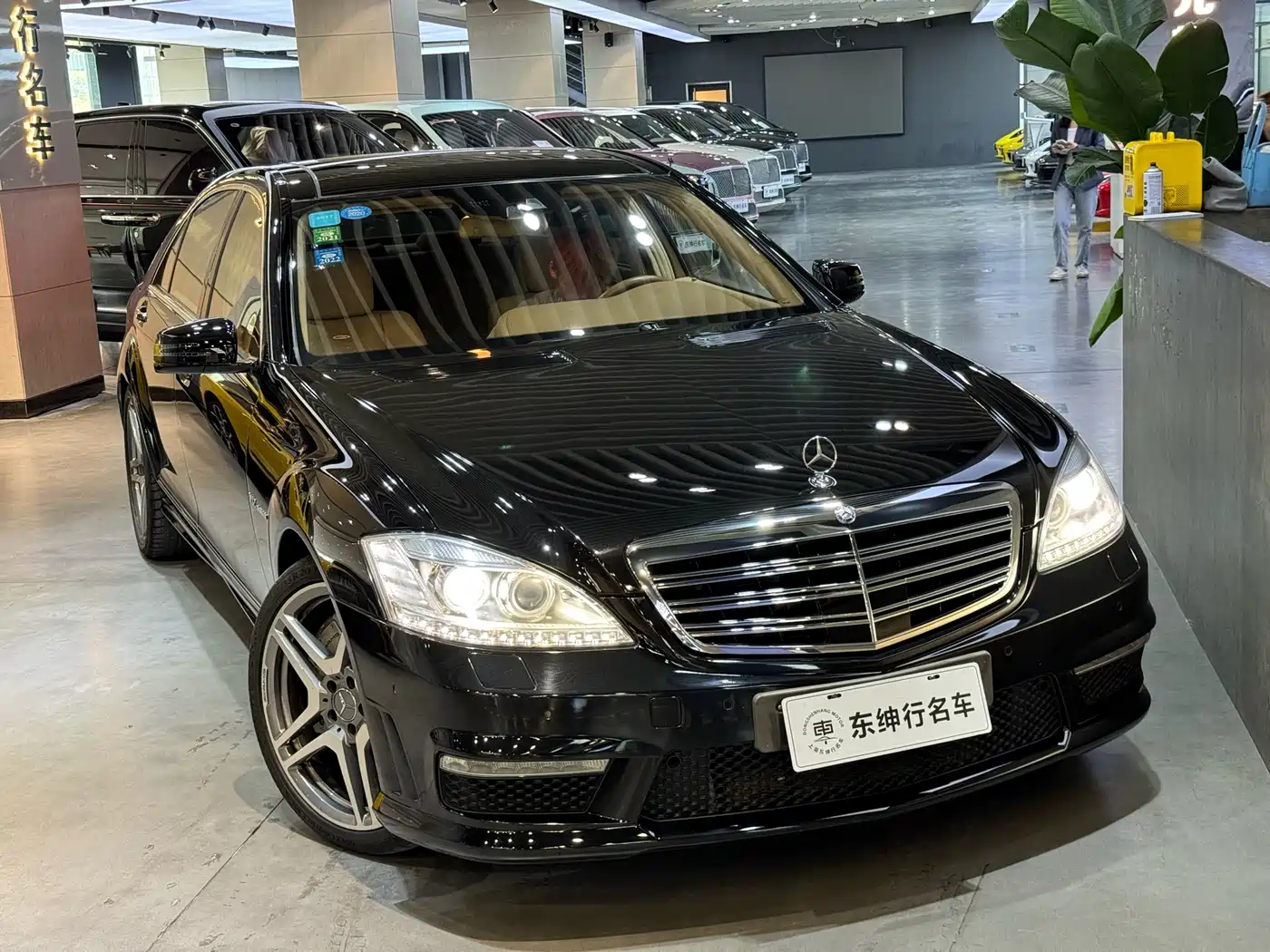 Mercedes-Benz S-Class AMG 2010 AMG S 65 фото 6