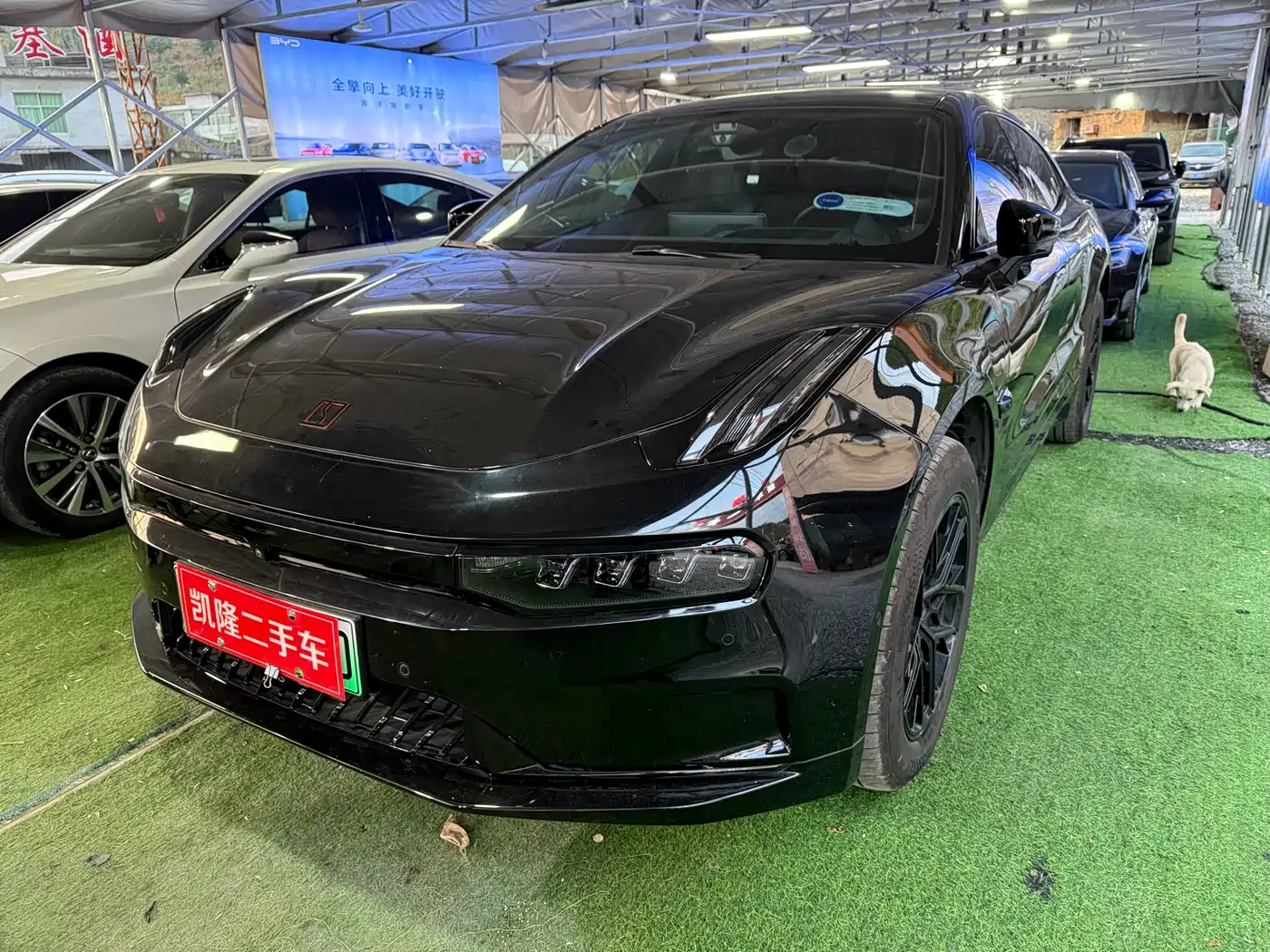 ZEEKR EXTREME KRYPTON 001