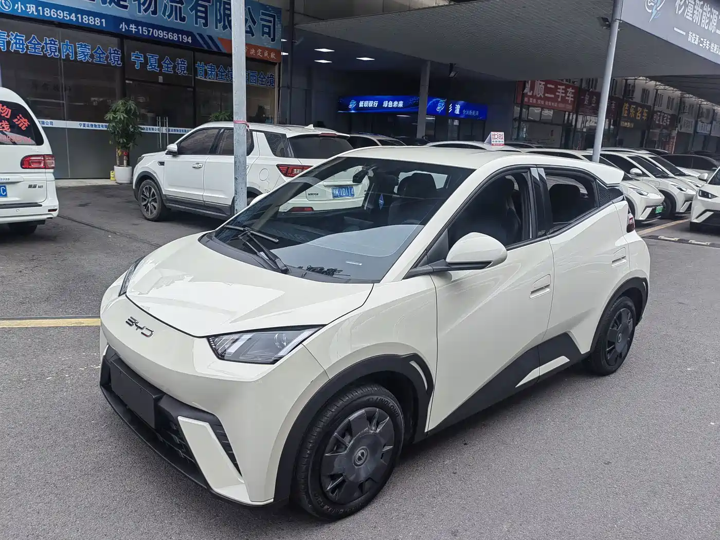 BYD Seagull 2024 — пригон из Китая