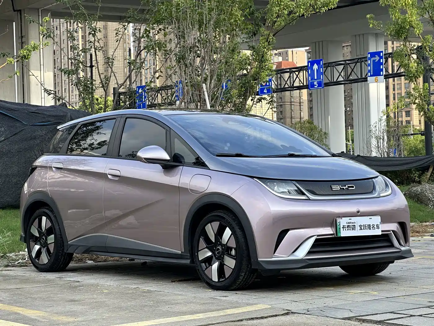 BYD Dolphin 2022 2021 401km Knight Edition