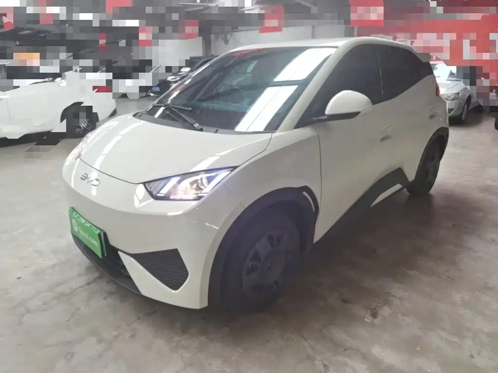 BYD Seagull 2025 Smart Drive Edition 305km Vitality Version