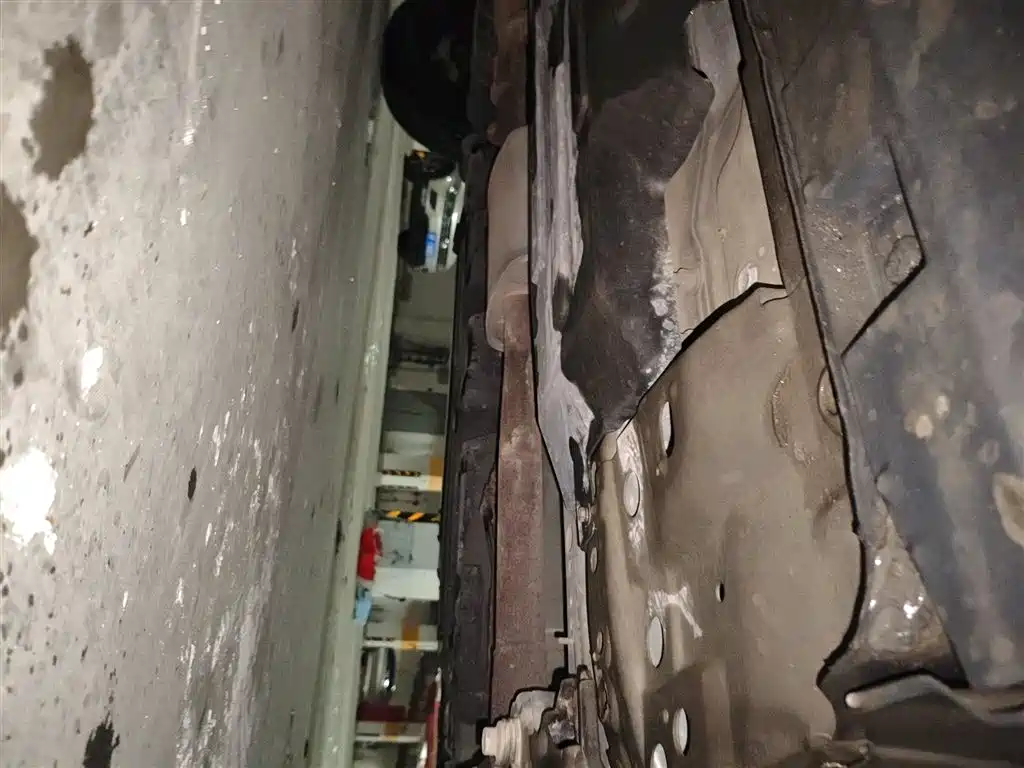 Haval Big Dog 2022 1.5T DCT FWD Border Collie Edition фото 16