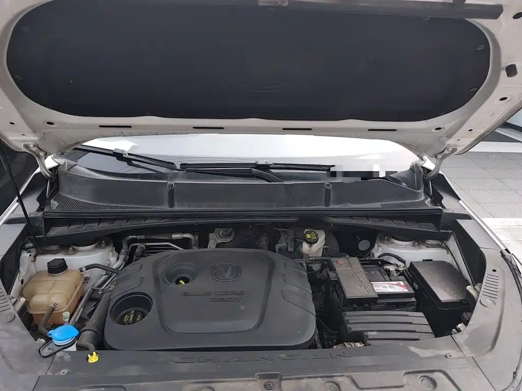 Changan CS55 2019 2019 1.5T Automatic Xuandong Type China VI