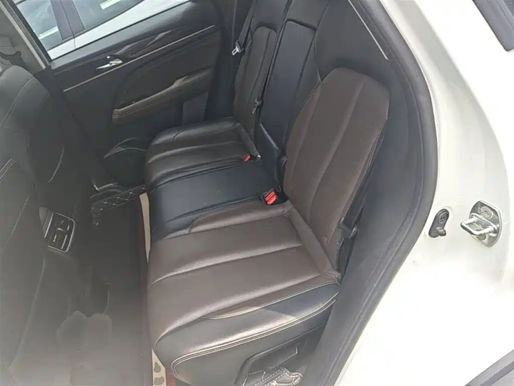 GAC Trumpchi Trumpchi GS5 2019 235T Automatic Luxury фото 17