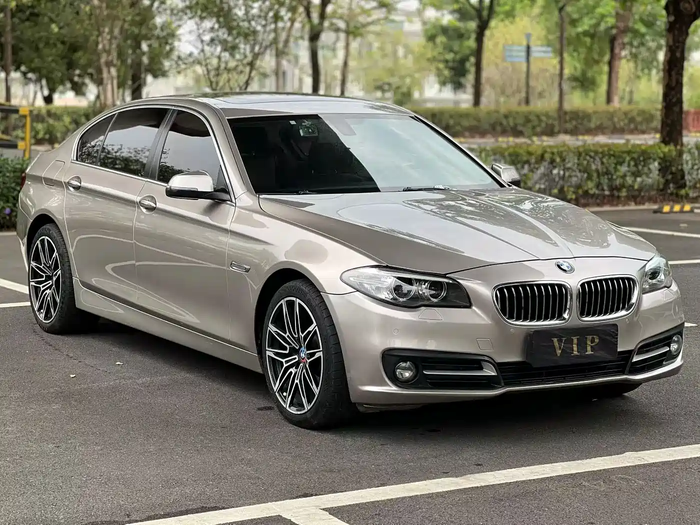 BMW 5 Series 2014 525Li Leading фото 4