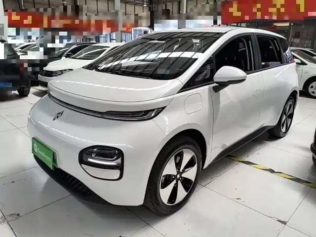  Baojun Baojun Cloud 2023 460 Plus Operation Exclusive Edition