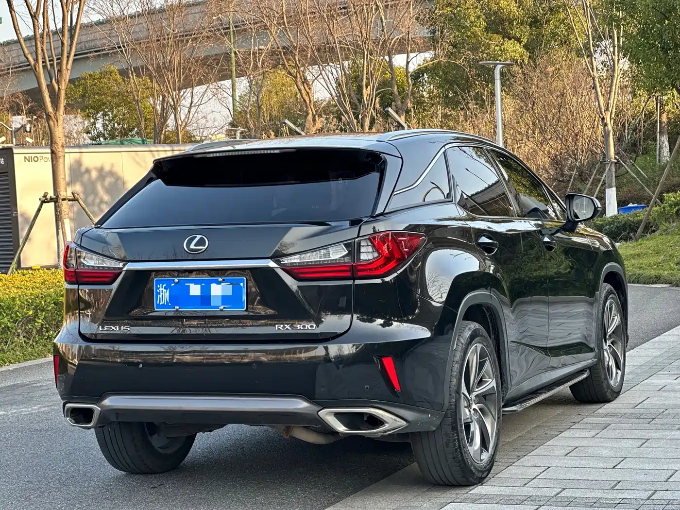 Lexus RX 2016 300 4WD Elegance Edition (China V) фото 6