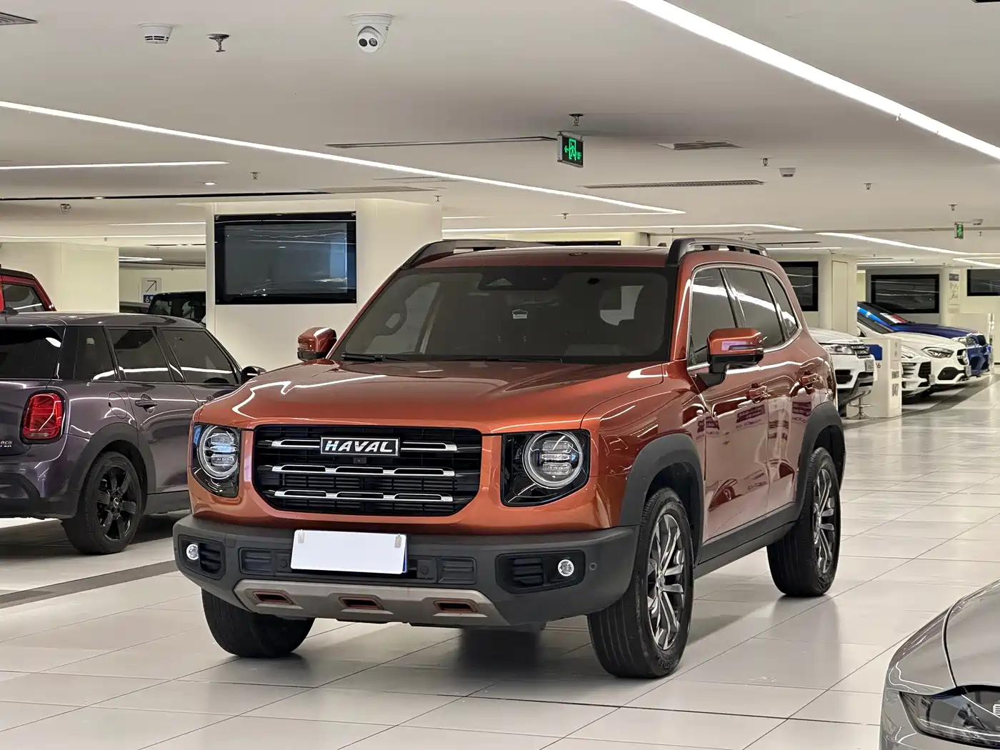 Haval Big Dog 2021 1.5T DCT 2WD Border Collie - Wangcai Edition