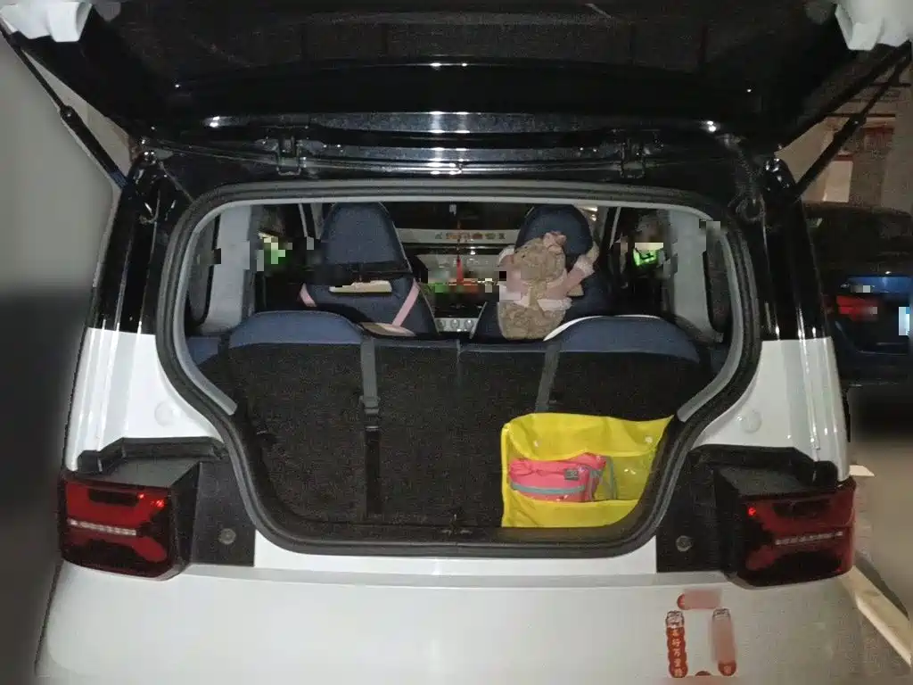 Photo 15 - Wuling Motors Hongguang MINIEV