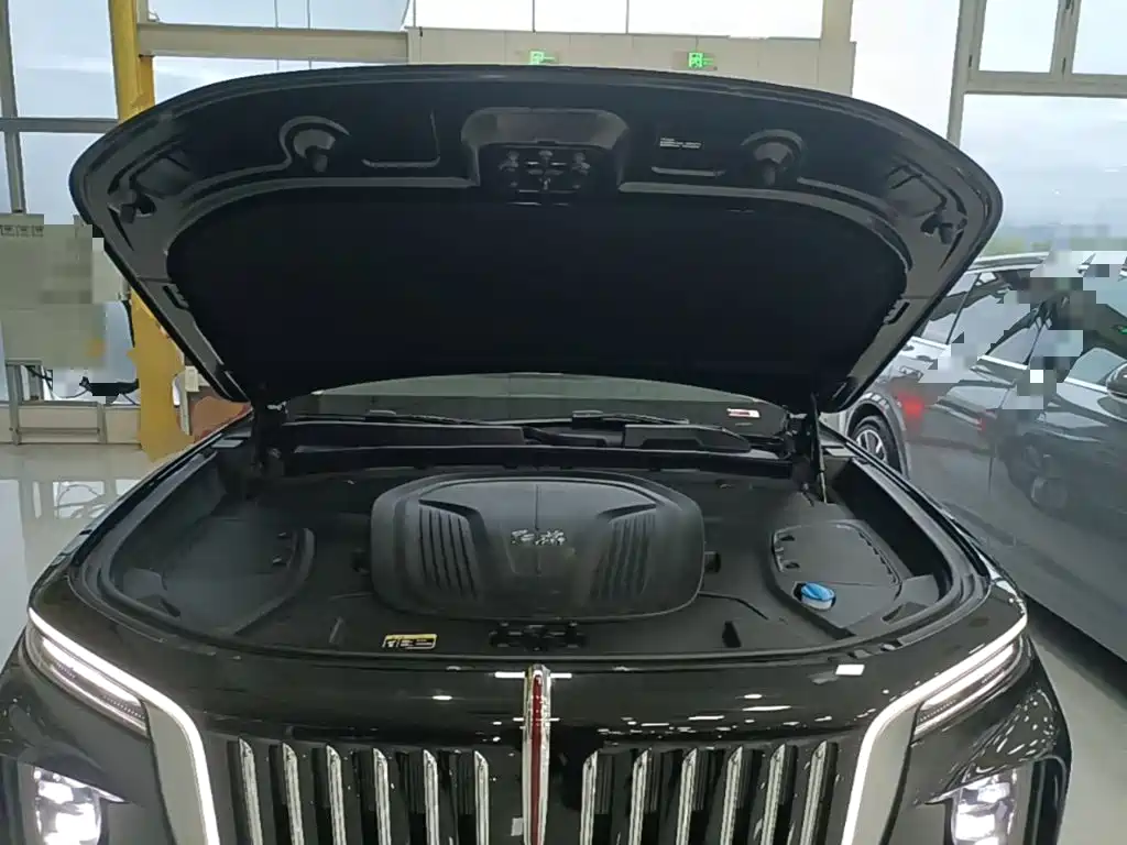 Фото 20 - Hongqi E-HS9