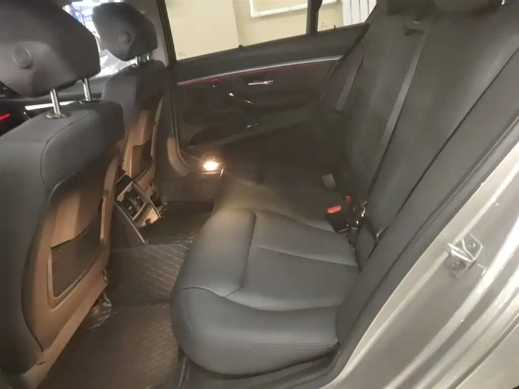BMW 3 Series 2017 320Li Luxury Design Package фото 17
