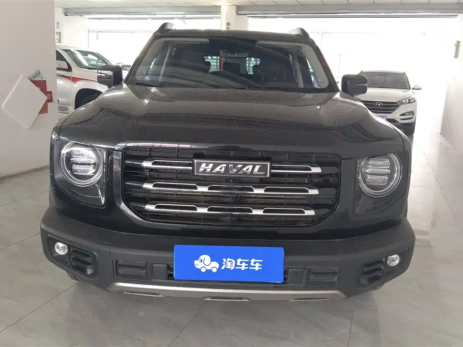 HAVAL BIG DOG