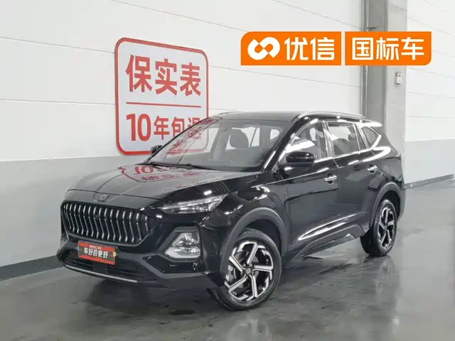 Sehol Sehol X8 2021 300T DCT Panorama Luxury Edition 6-seater