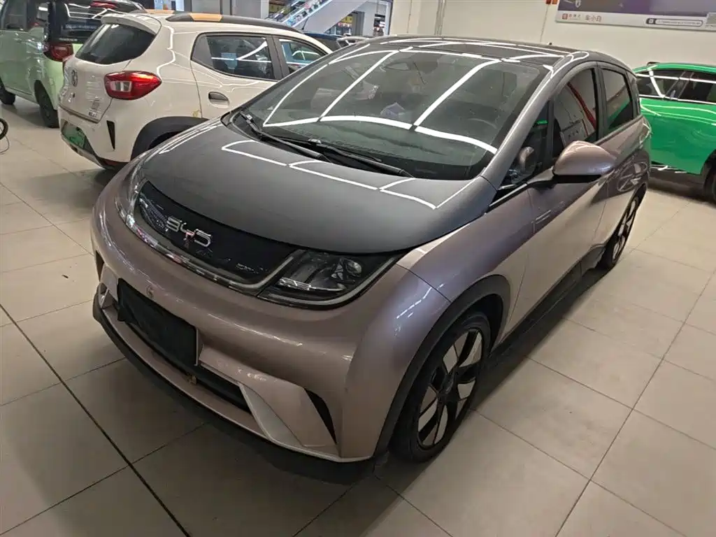 BYD Dolphin 2021 401km Knight Edition