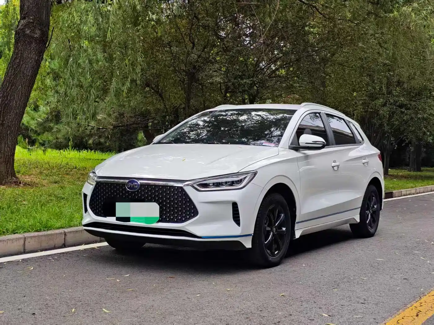 BYD e2 2019 Standard Range Intelligent Comfort