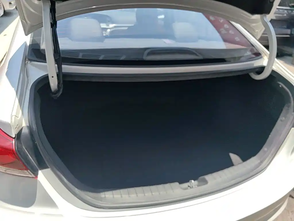 HYUNDAI LEAD