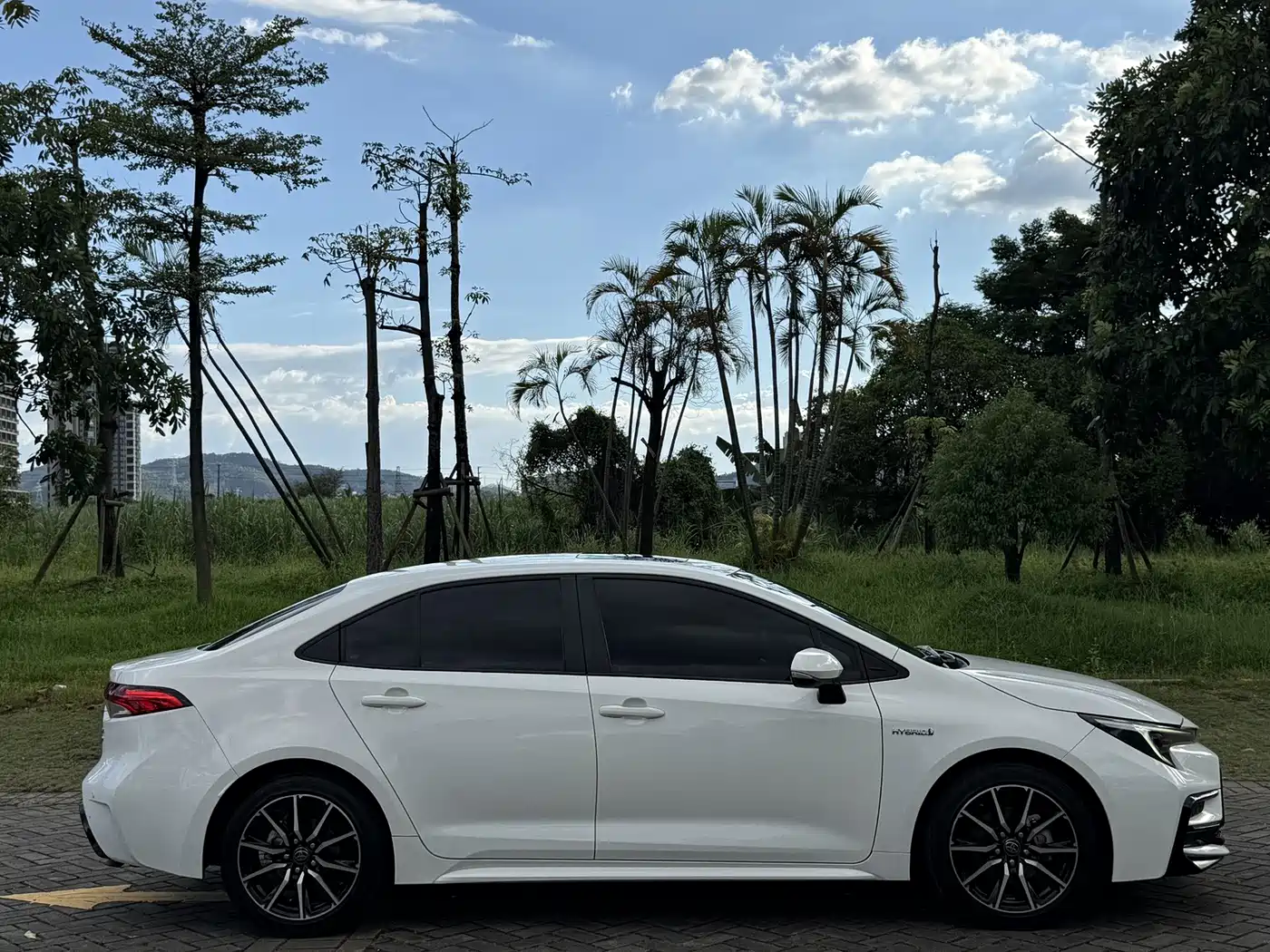Фото 7 - Toyota Levin