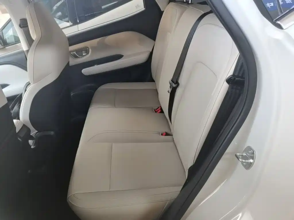 Wuling Motors Wuling Binguo PLUS 2025 2024 401km Range 5-seater