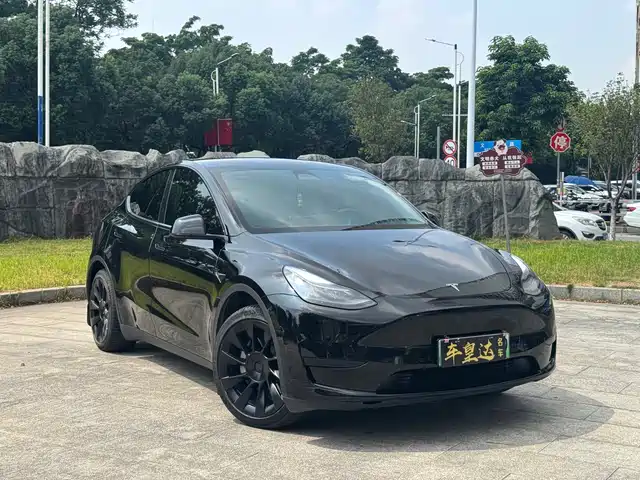 Tesla Model Y 2023 Rear-Wheel Drive Edition — фото 3