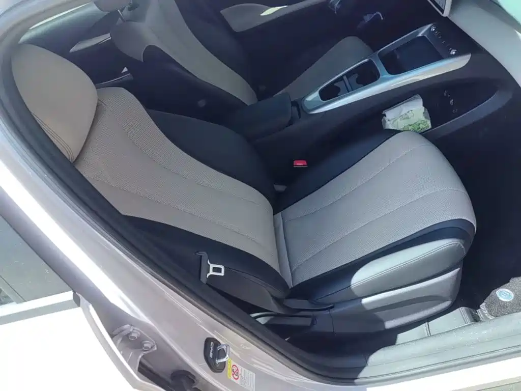 BYD Dolphin 2026 2025 Smart Drive Edition 420km Freedom Version