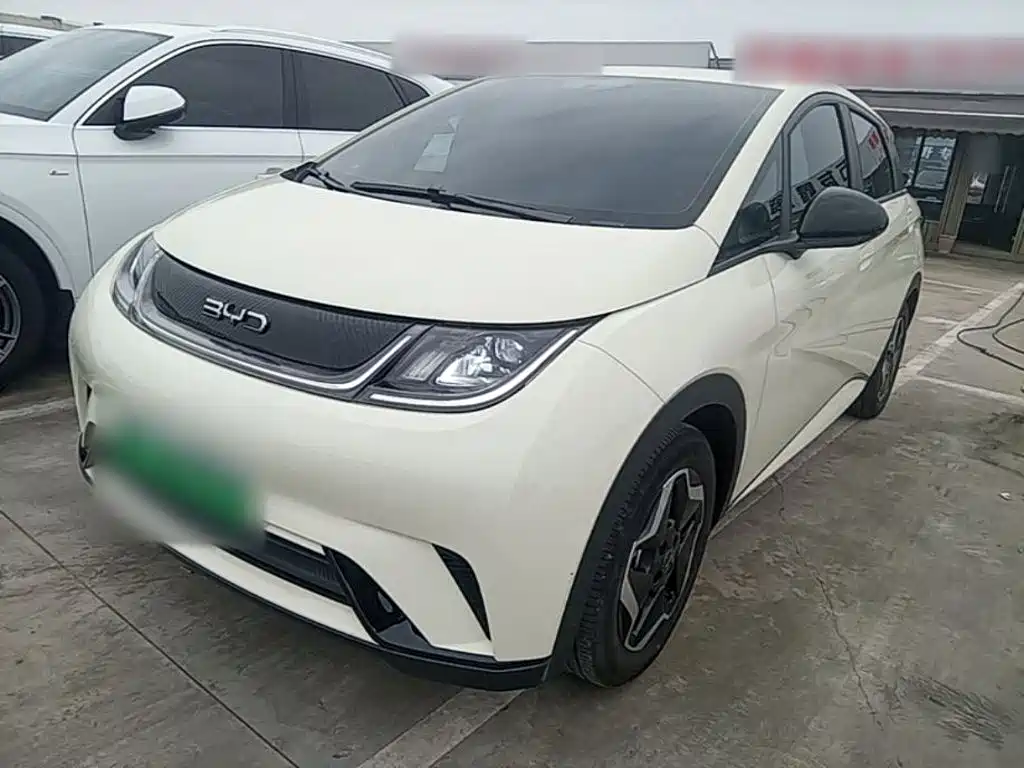 BYD Dolphin 2025 — пригон из Китая