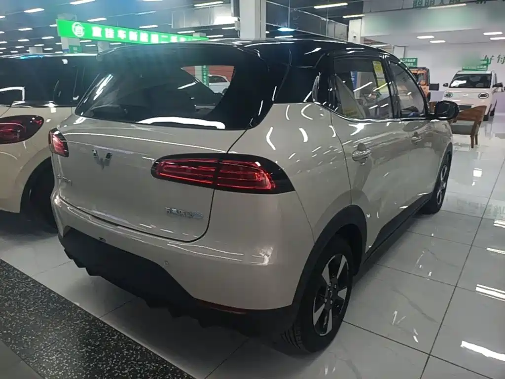 Wuling Motors Wuling Binguo PLUS 2026 2024 401km Range 5-seater