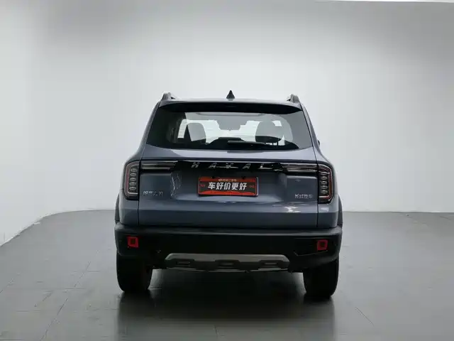 Haval Big Dog 2022 1.5T DCT FWD Labrador Edition — фото 4