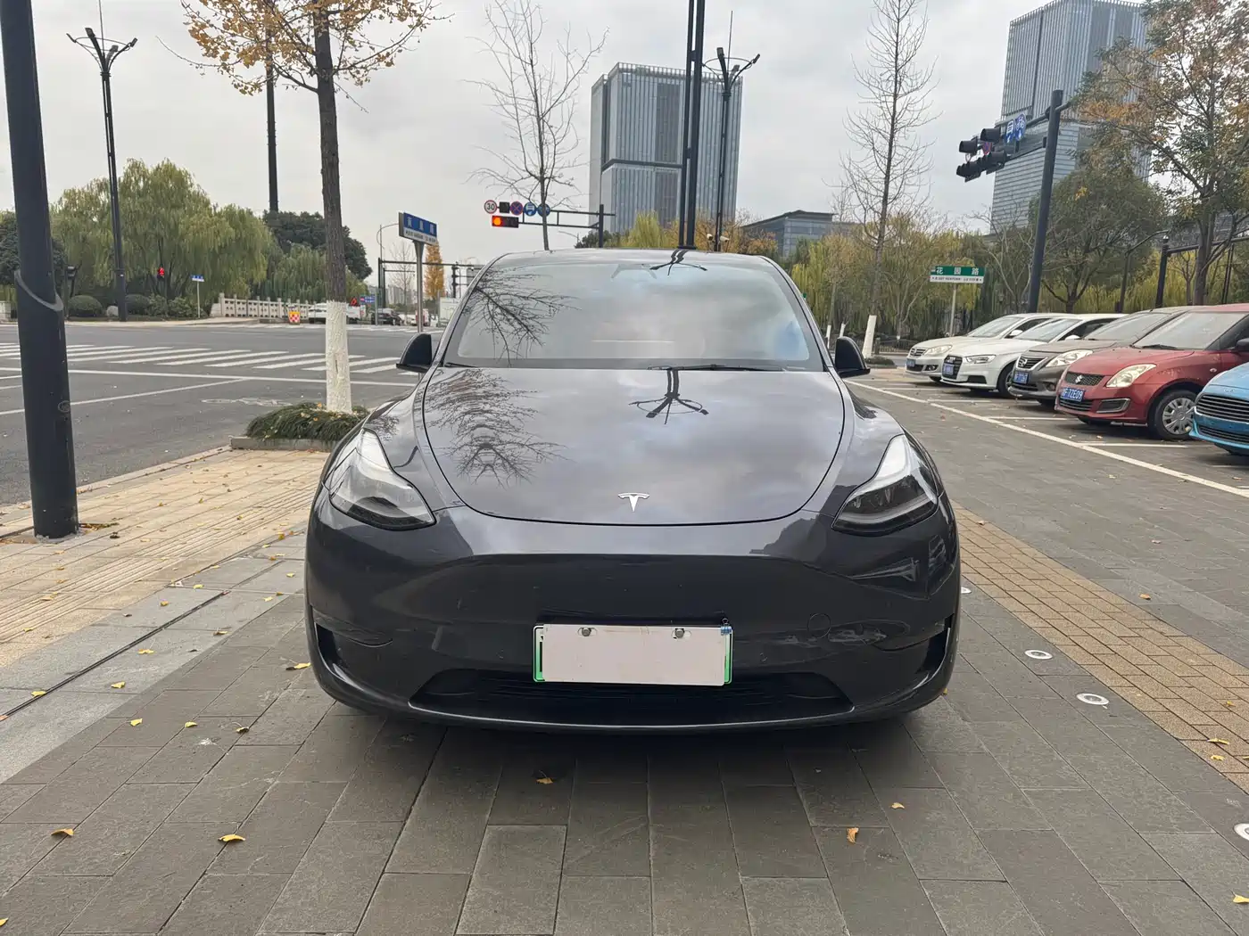TESLA MODEL Y