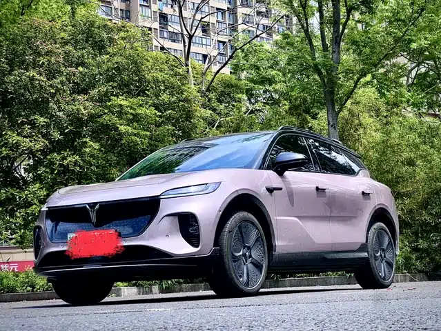  Voyah Auto Voyah Zhiyin 2024 4WD Global Edition