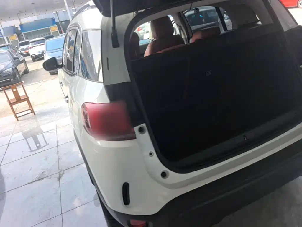 Фото 5 - Citroën Tianyi C5 AIRCROSS