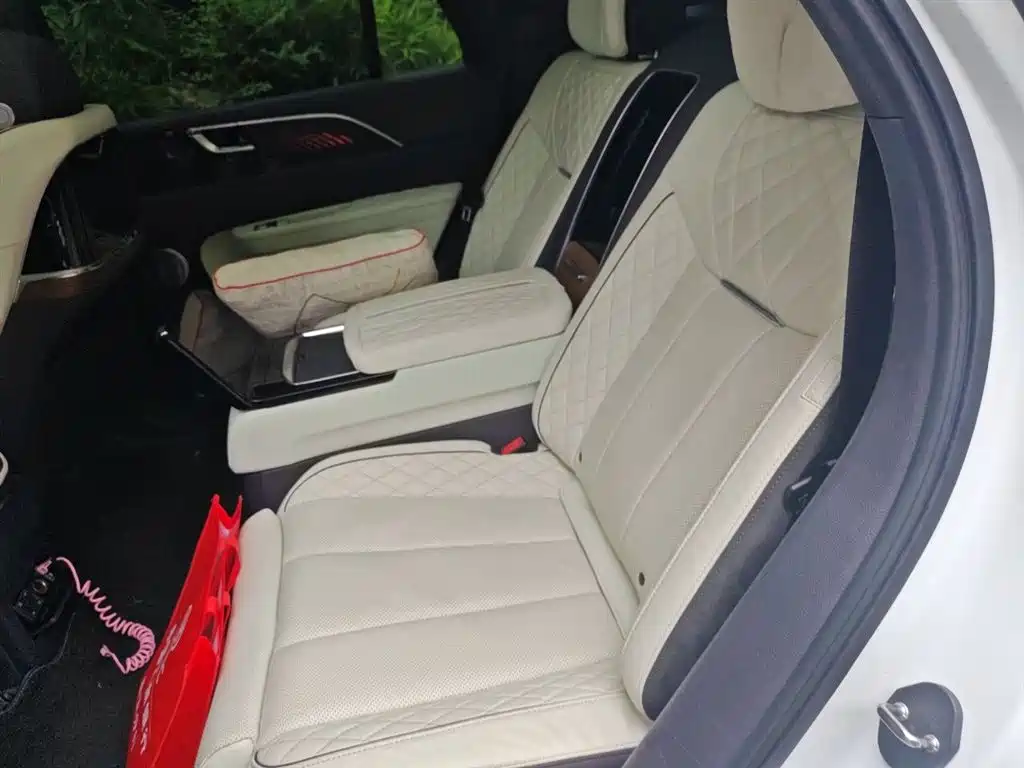 Hongqi E-HS9 2021 510km Flagship Edition 4-seater фото 15